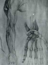 Studio di Anatomia Artistica - Carboncino