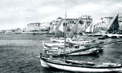 Manfredonia, la Storia e i suoi Autori